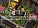 thatchroof.jpg