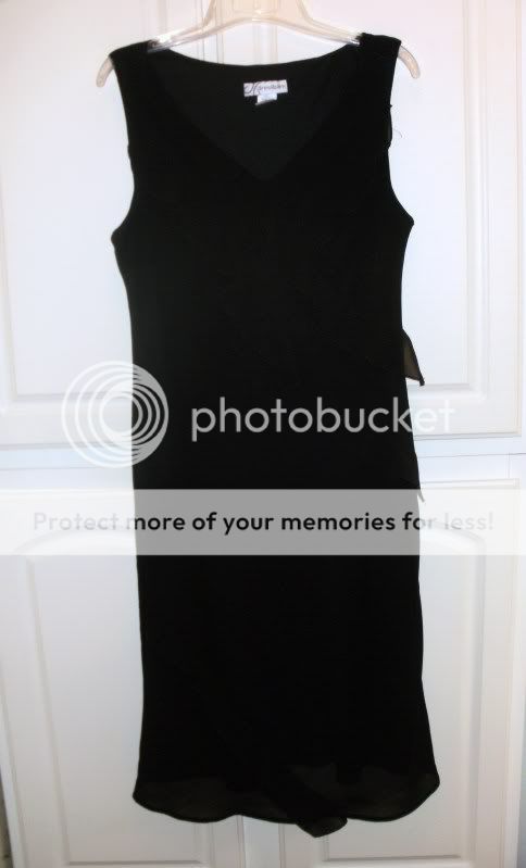 Dressbarn Sheer Lined Black Ruffle Dress Measures M VGC  